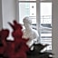 Hotel Terme Neronensis