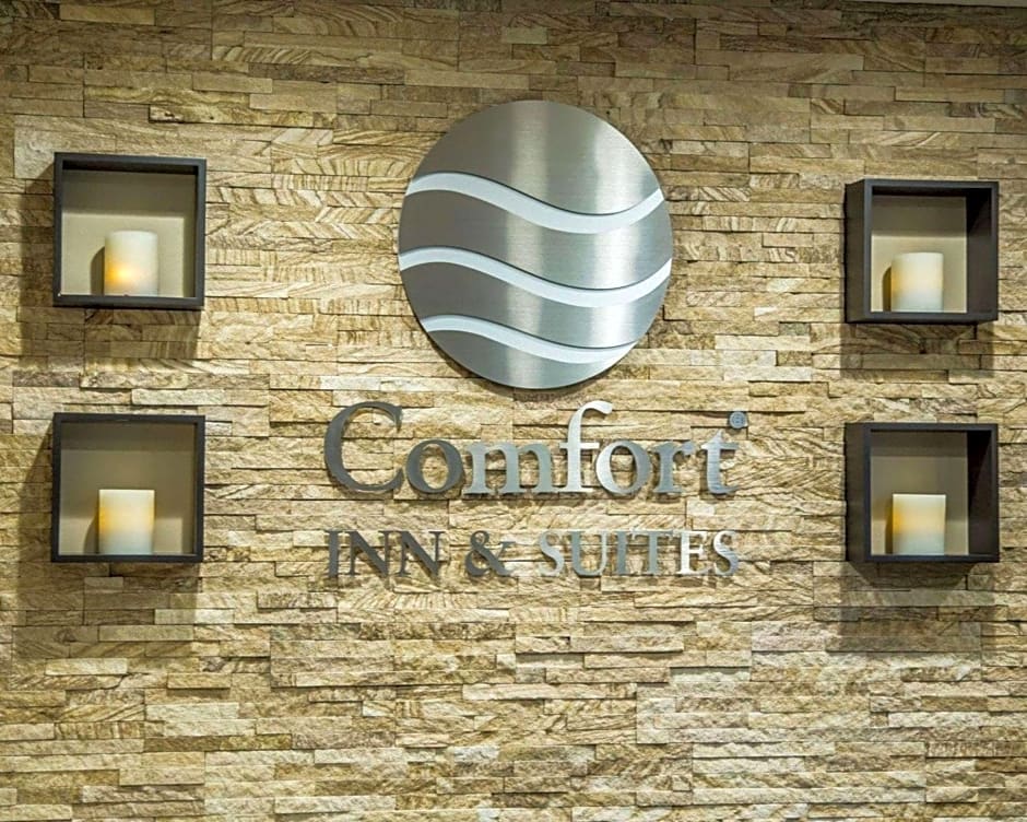 Comfort Inn & Suites Riverview near Davenport and I-80