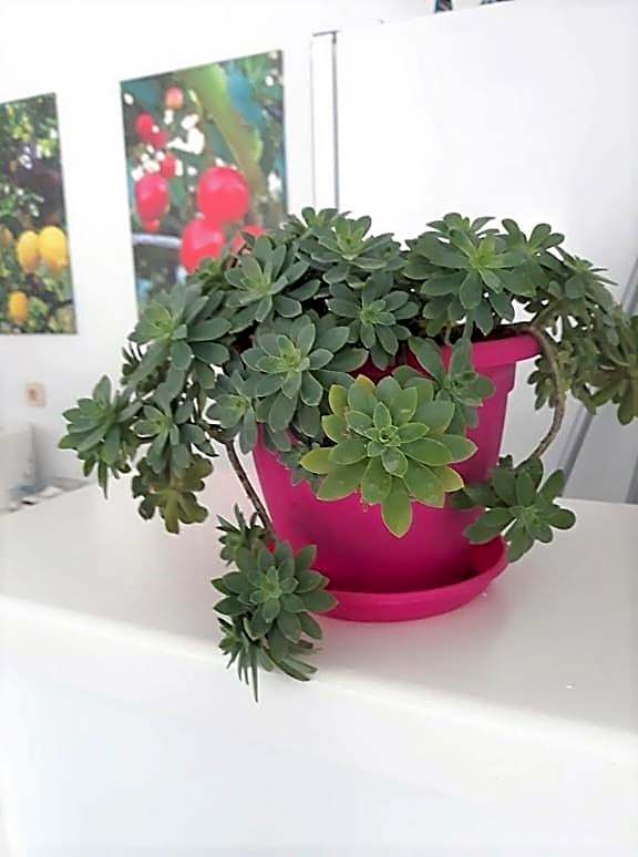 Stratos Hotel