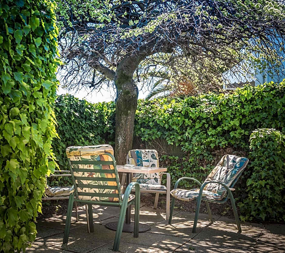 Waimarie on Riverside Motel & Apartments