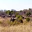 Muqurati Lodge - Dinokeng Game Reserve