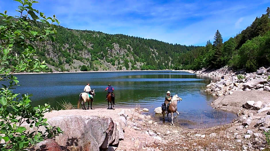 VVF Alsace Orbey Colmar