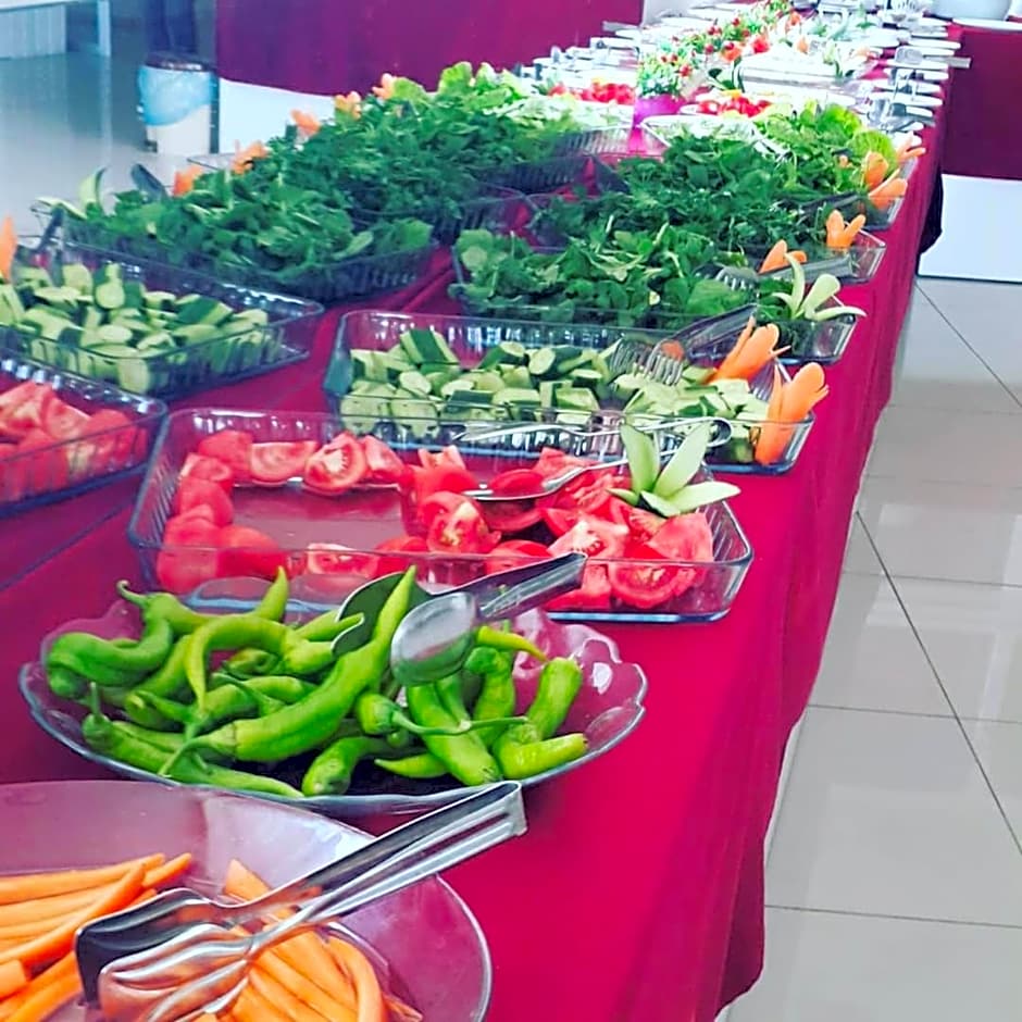 Osmaniye Hanedan Otel