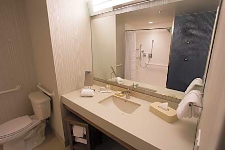 Room, 1 King Bed with Sofa bed (1 King Bed and 1 Double Sofa Bed)