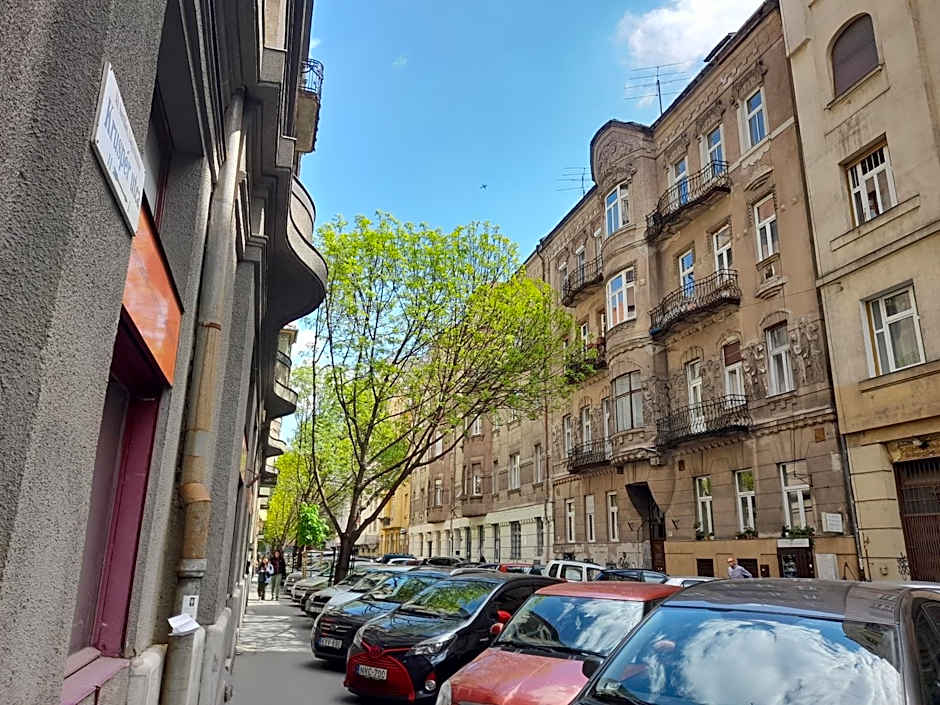 Stylish Homes Downtown Buda