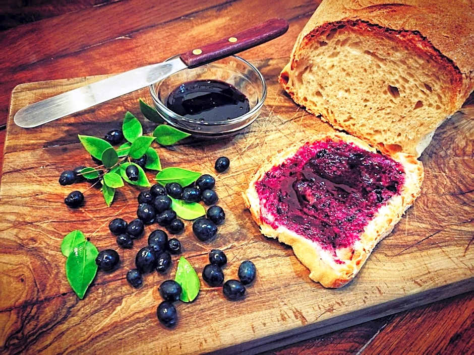 Masseria Borgo del Gallo