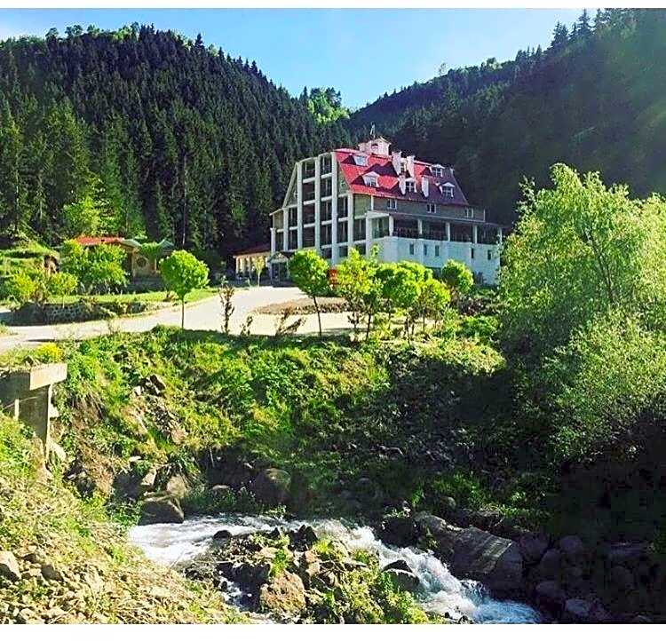 Hotel Green Valley Savsat