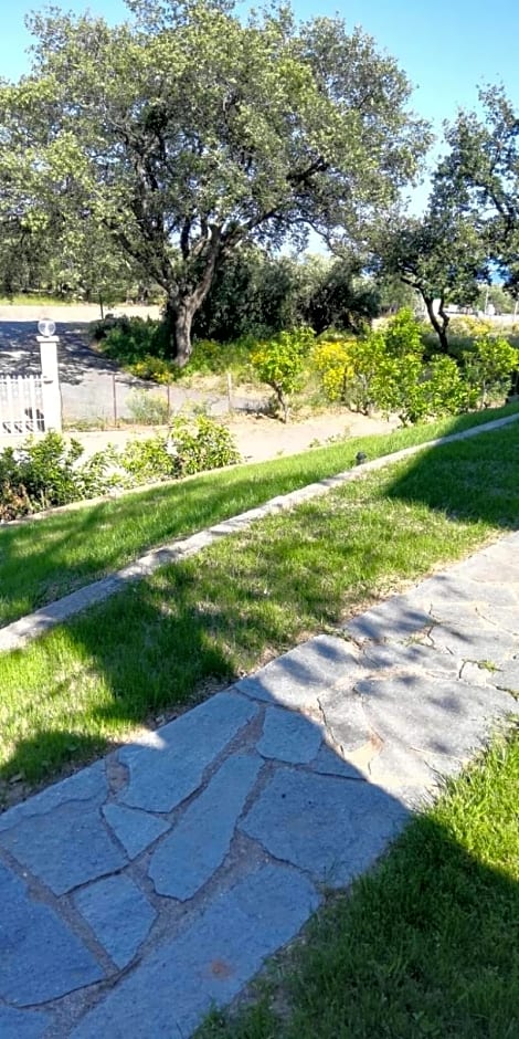 La Gallina Nel Castello