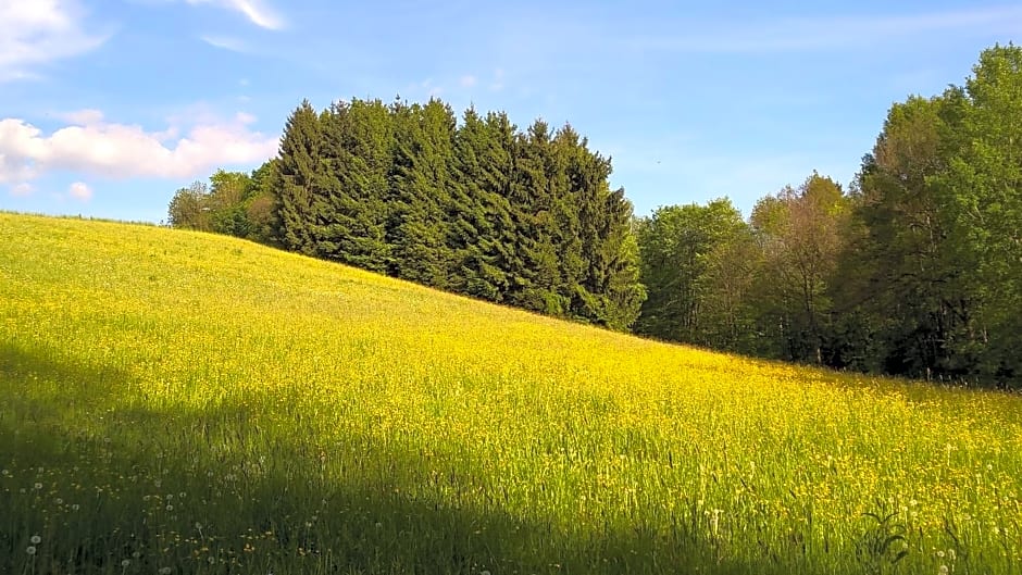 Ferien vom Ich, Bayerischer Wald, Hotel & Restaurant