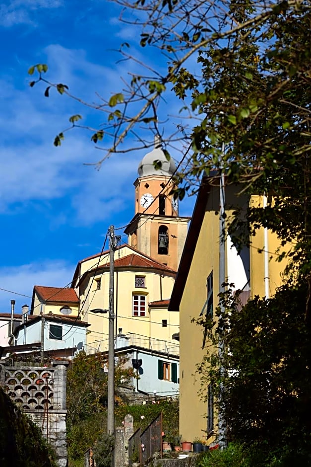MAISON44