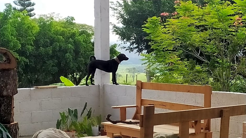 Casita Tonina