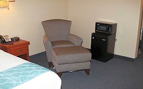 1 Queen Bed Accessible Room Non-Smoking