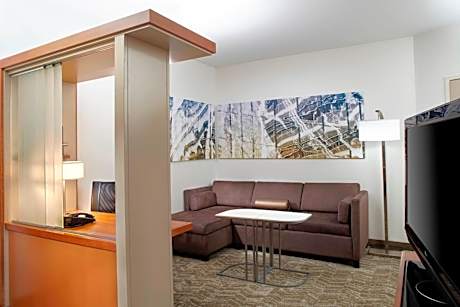 King Studio with Sofa Bed and Roll-in Shower - Mobility and Hearing Accessible