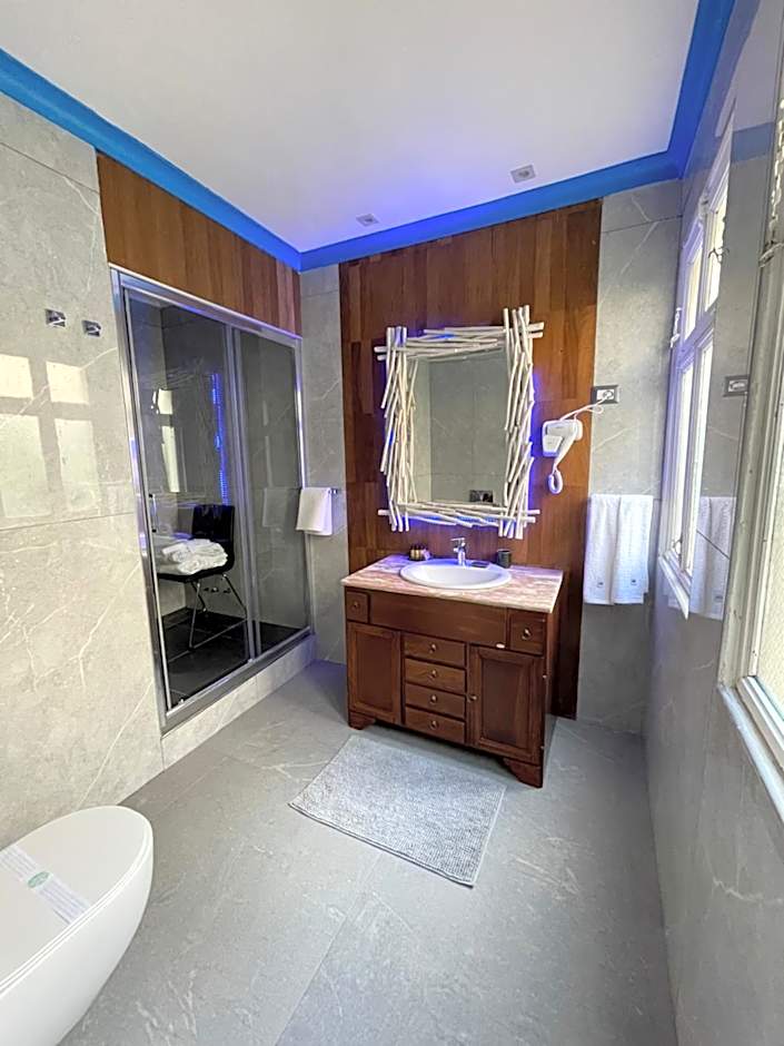 PALAZZO FIACCADORI - Historical Palace