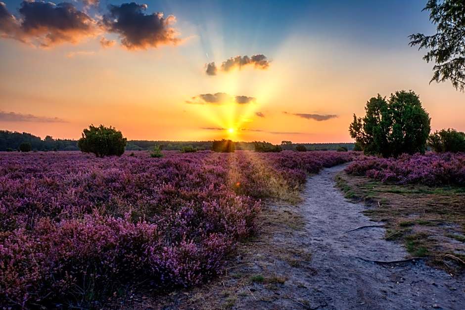 Heidehotel Rieckmann