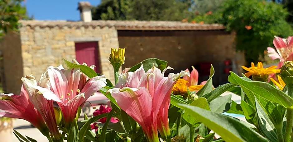 Gîtes Mas des rochers - Romance tropicale avec Spa