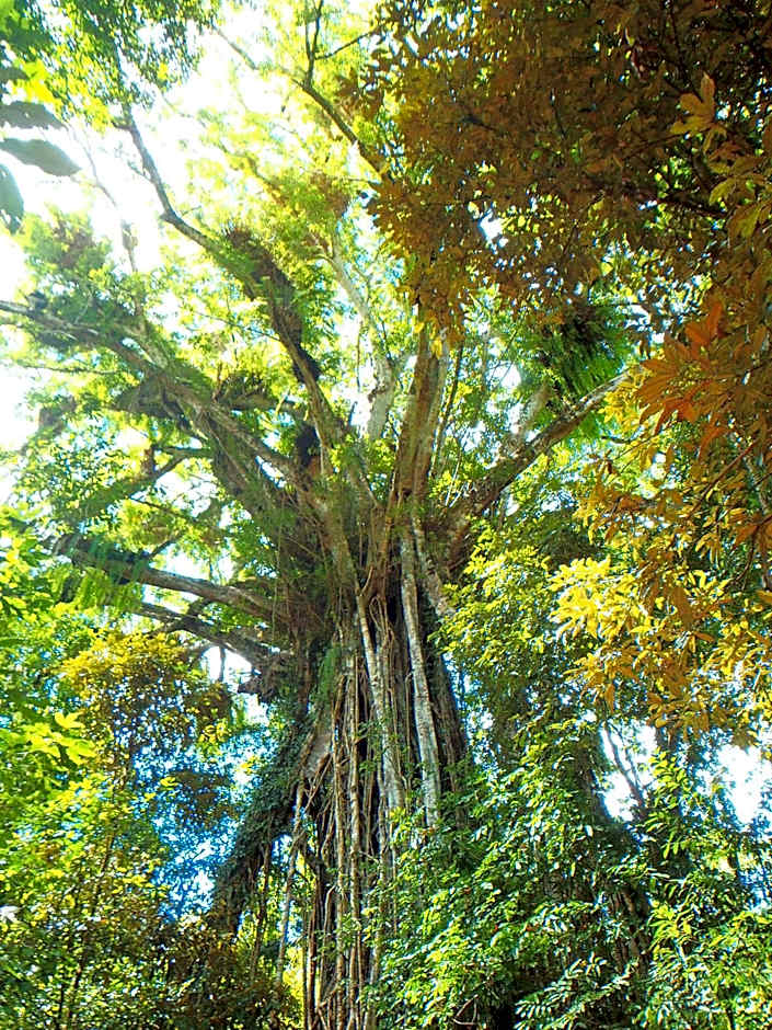 On The Wallaby Eco Lodge