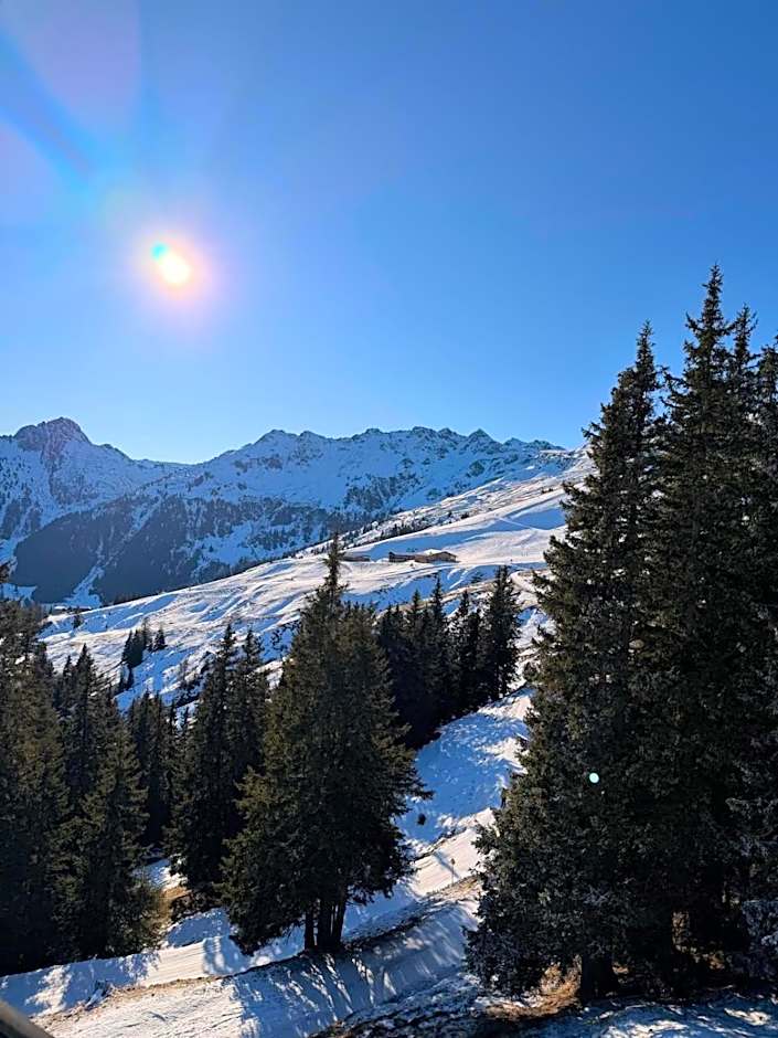 Hotel Alpenhof***