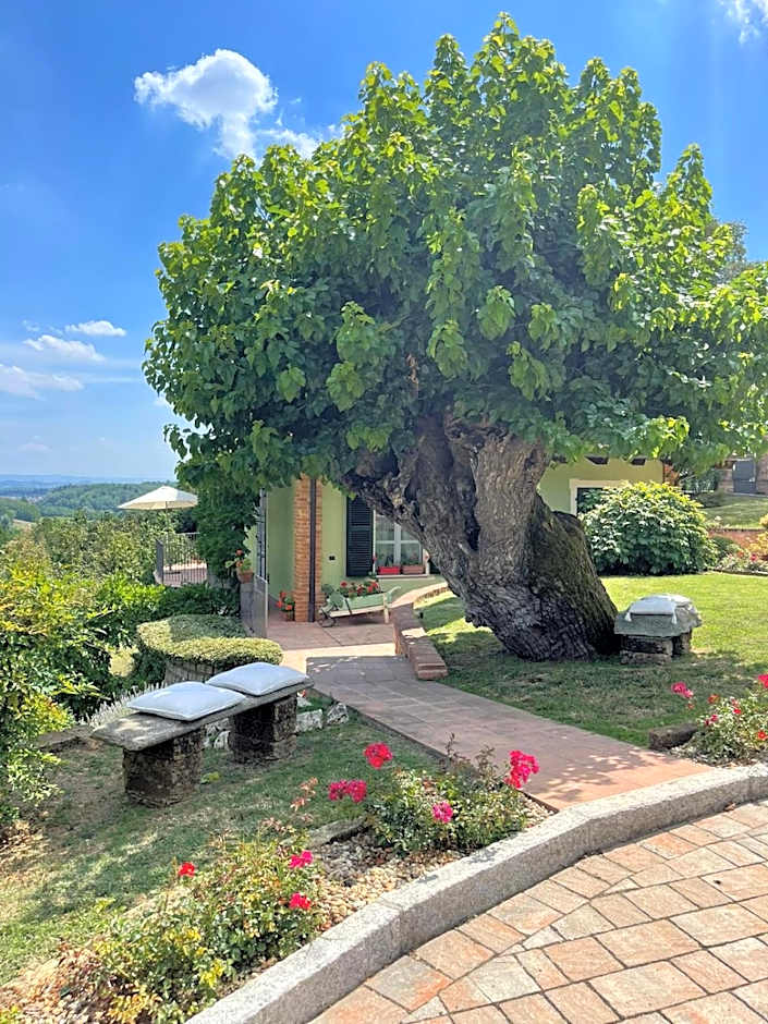 B&B La Bianchina