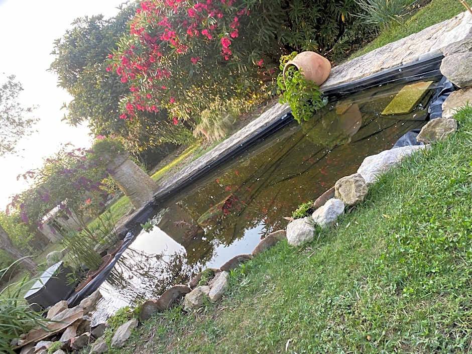 chambre d'hotes les cigales