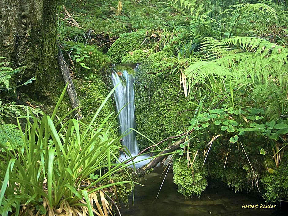 Nashira Kurpark Hotel -100 prozent barrierefrei-