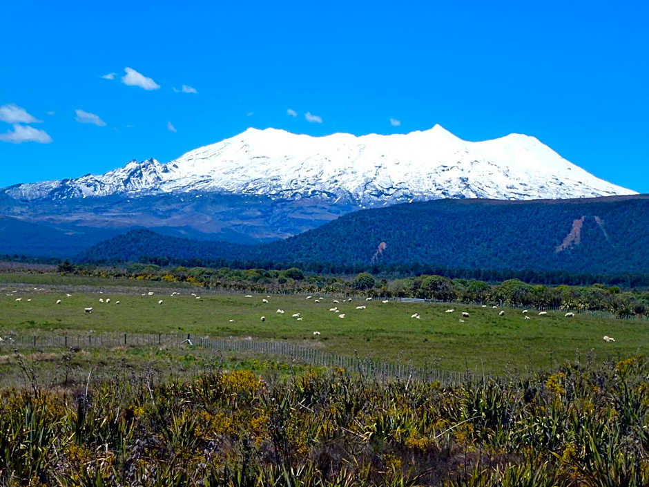 Manowhenua Lodge Hostel