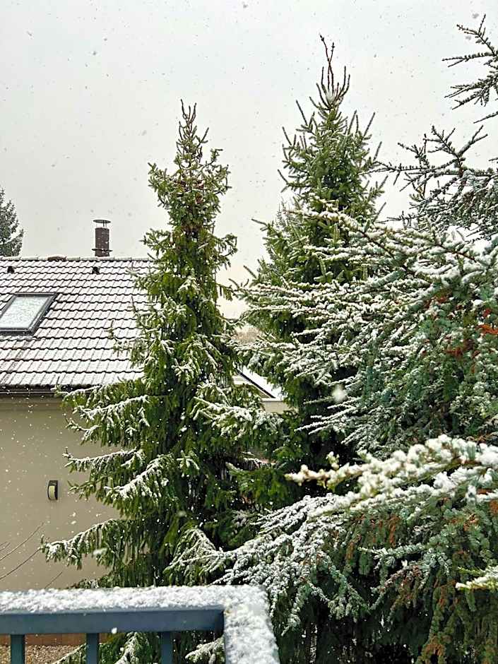 Grand Petit Hotel ex Shato Gesson