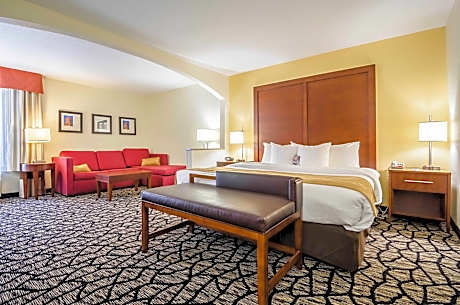 1 King Suite, No-Smoking