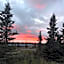 Denali Park Hotel
