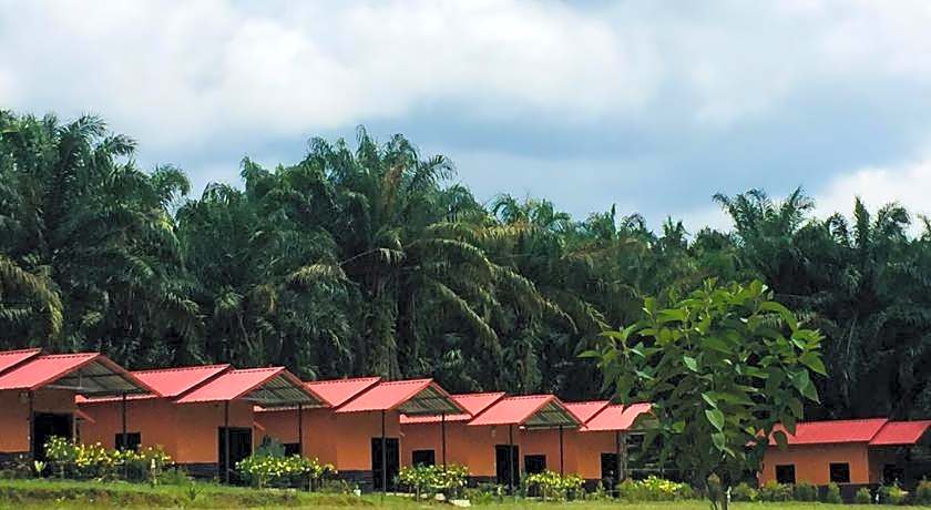 Khao Sok Evergreen House