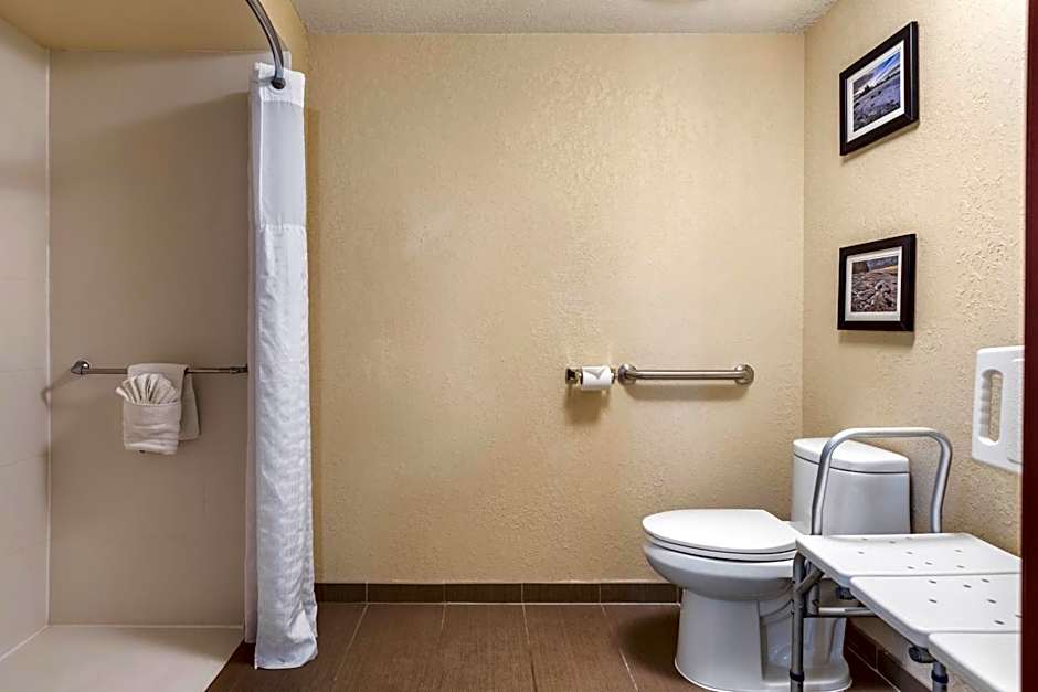 Comfort Inn & Suites Allen Park - Dearborn