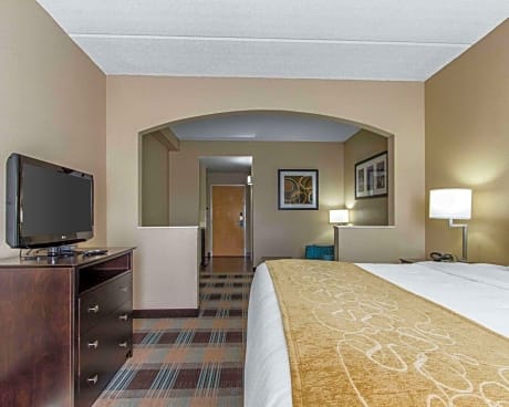 1 King Bed, Suite, Nonsmoking