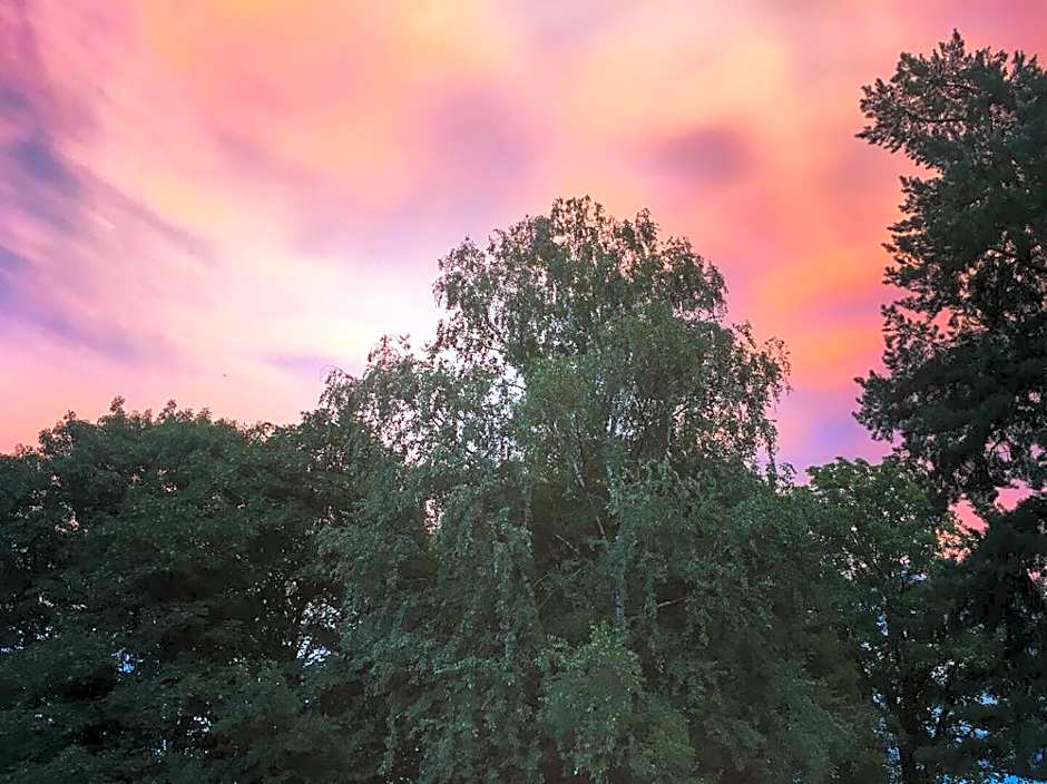 Albergo Ristorante Madonnina