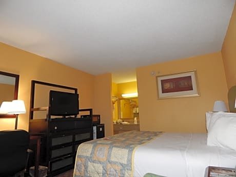1 King Bed Pet Friendly Room