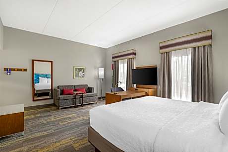 1 King Bed Studio Suite W/ Sofabed Nonsmoking