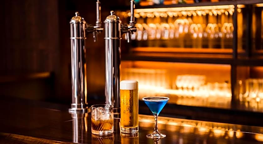 Hotel Grand Bach Tokyo Ginza