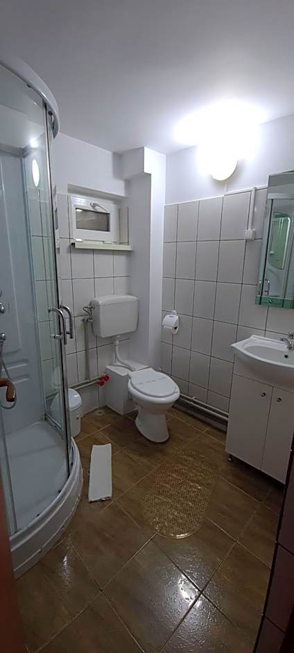 Pensiunea Aurora - Great hostel Voineasa