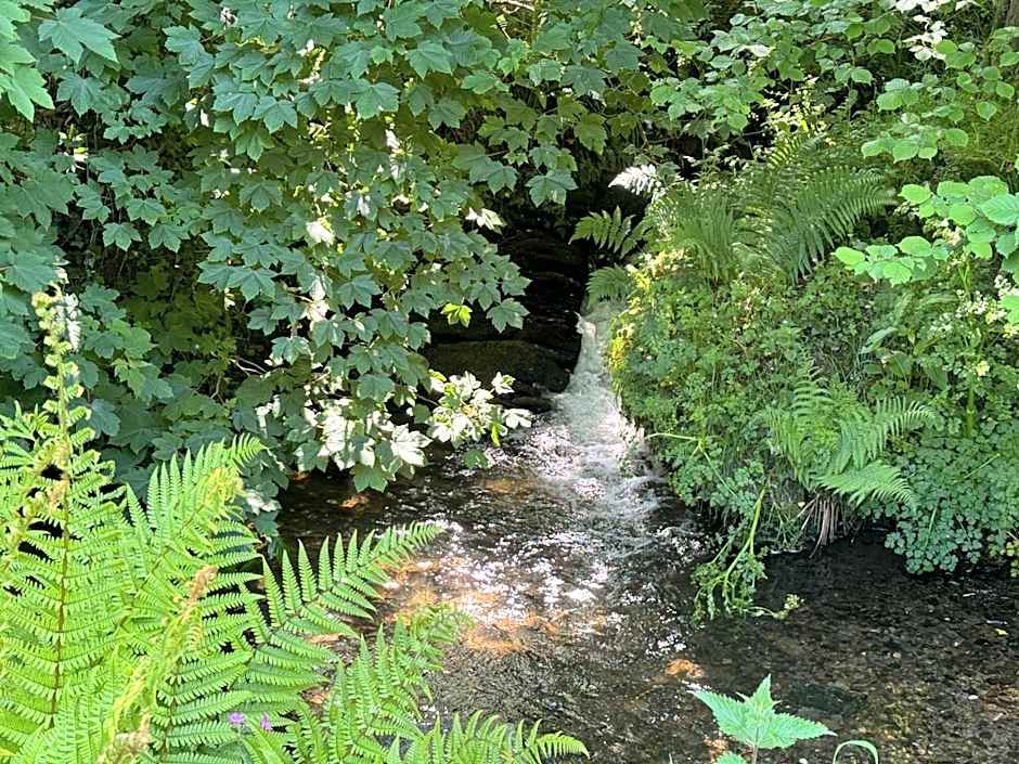 Cardigan Bay Holidays