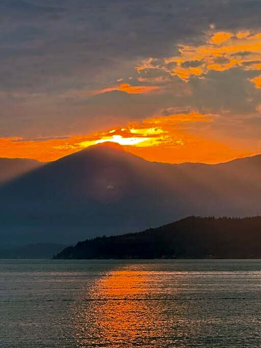 Dream House -Water Lily