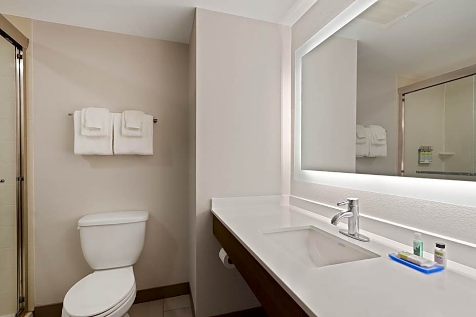 Holiday Inn Express Hotel & Suites Largo-Clearwater By IHG