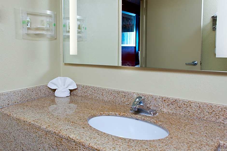 Holiday Inn Shreveport Downtown By IHG