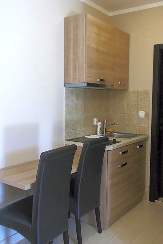 Vila V Lux Apartments