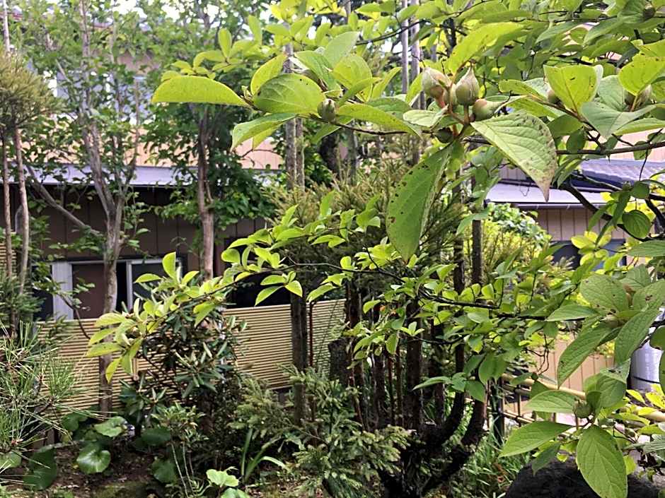 Masugataya Ryokan