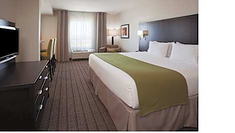 1 King Bed Suite Addl Living Area