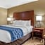 Comfort Inn Sunnyvale - Silicon Valley