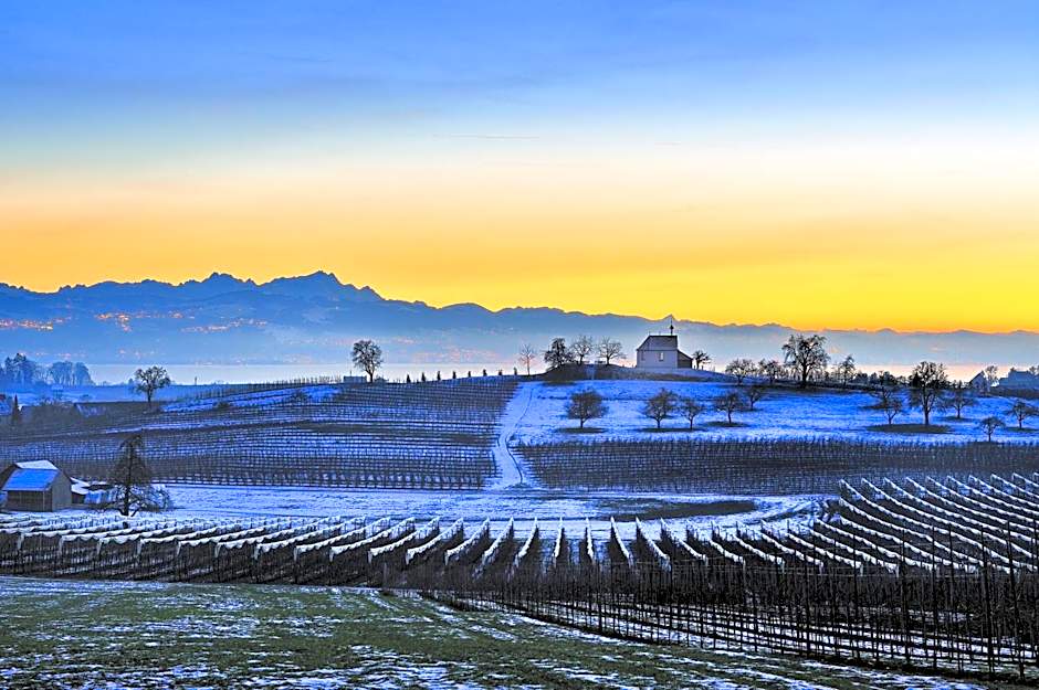Schloss Hotel Wasserburg