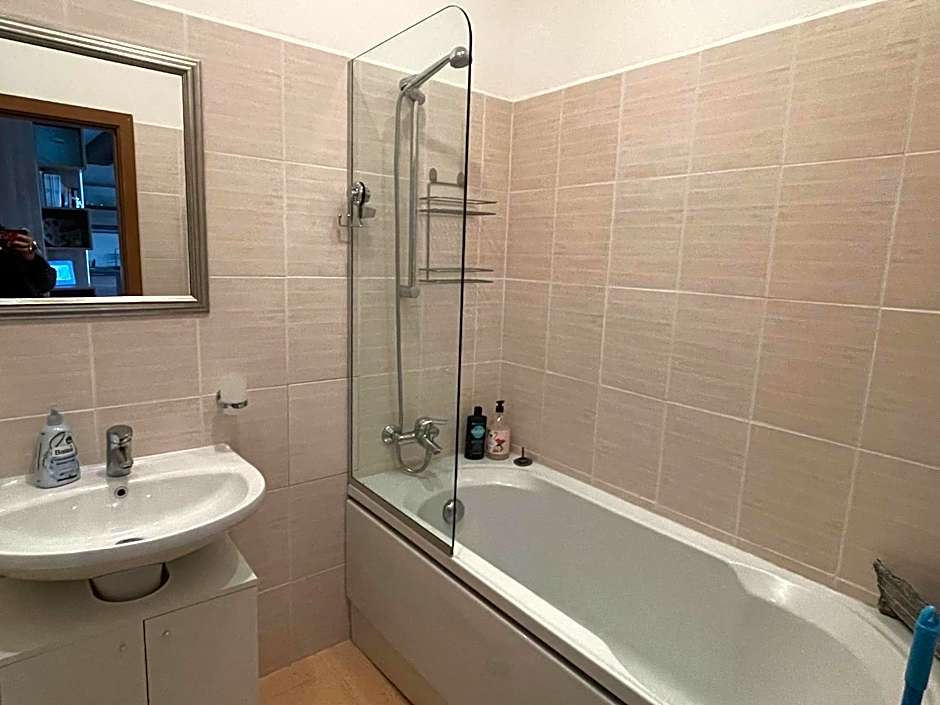 Cozy Mountain Apartment