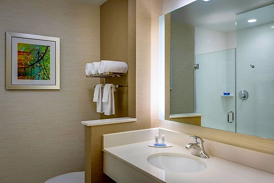 Fairfield Inn & Suites by Marriott Dallas West/I-30