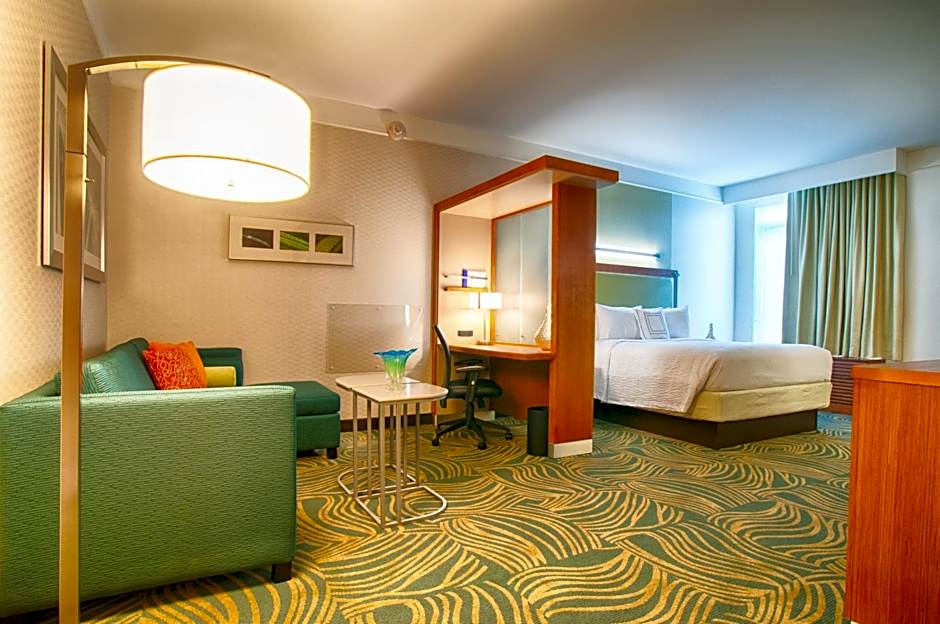 SpringHill Suites by Marriott Canton
