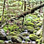 Evergreen Valley Inn